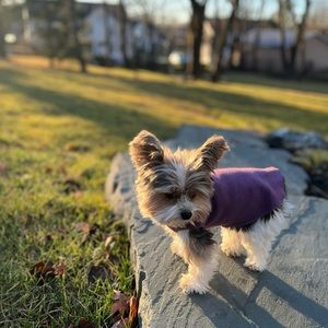 Meet your Posher, Heather